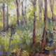 Deep in the Woods