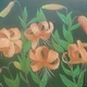 Tiger Lillies