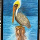 Pelican's Perch