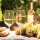 Chardonnay