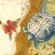 Turtle & Bloom Bliss
