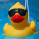 dup:Group Duck Race Tickets
