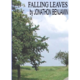 Falling Leaves