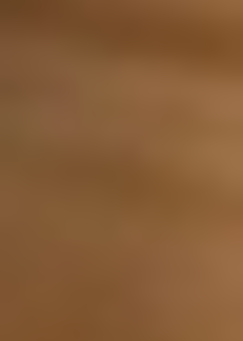 Buy Diazepam Online Verified Care Transfer Bridge's Profile Picture