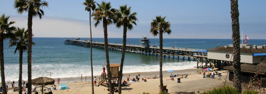 Lori Donchak's Banner