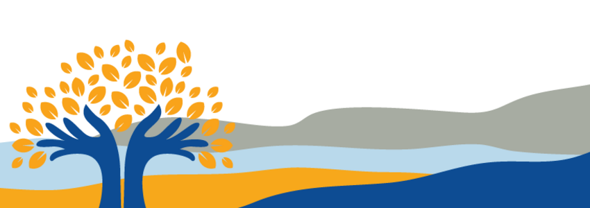 Robert Mc Cormick's Banner