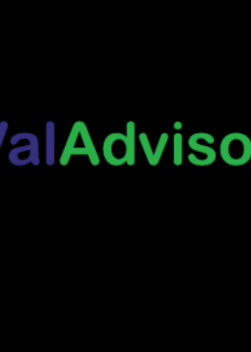 Val Advisors Valuation Advisory Services 's Profile Picture